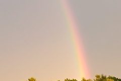 Rainbow_Links2-scaled